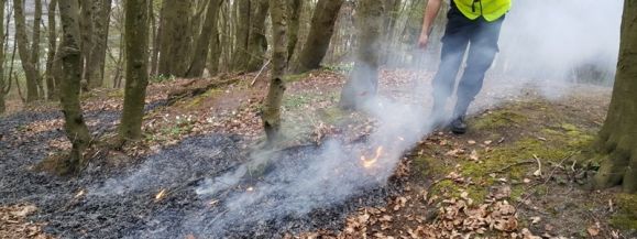 POŻAR NA TERENIE LASU