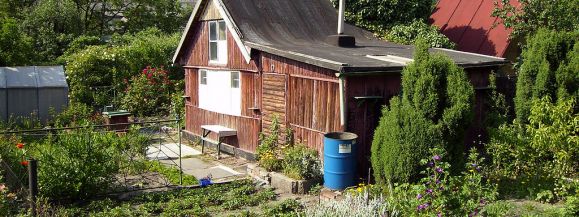 DZIAŁKOWI ZŁODZIEJE