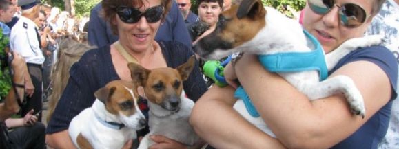 POBŁOGOSŁAWIĄ ZWIERZĘTA