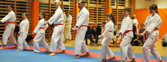 FERIE Z KARATE