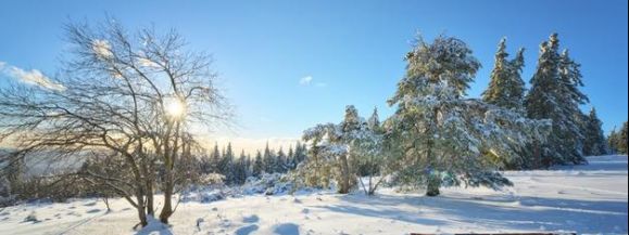 OFIARY WYCHŁODZENIA