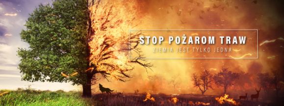 STOP WYPALANIU TRAW