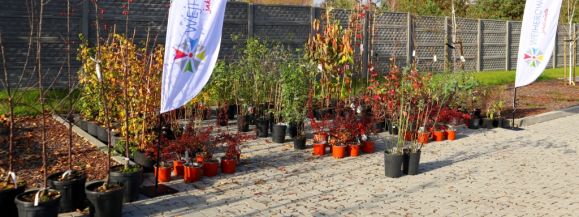 ROŚLINY DLA MIESZKAŃC&Oacute;W