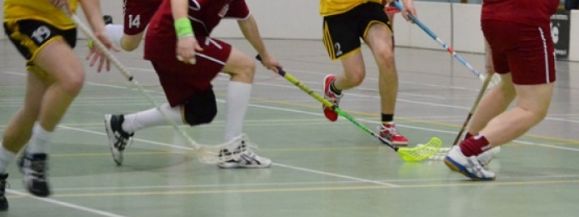 PRZYJAŹŃ TRIUMFUJE