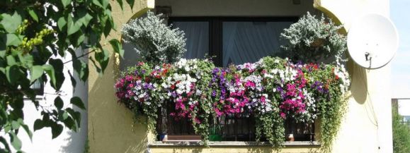 DLA OGRODNIK&Oacute;W-HOBBYST&Oacute;W