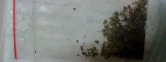 MARIHUANA NA OSIEDLU